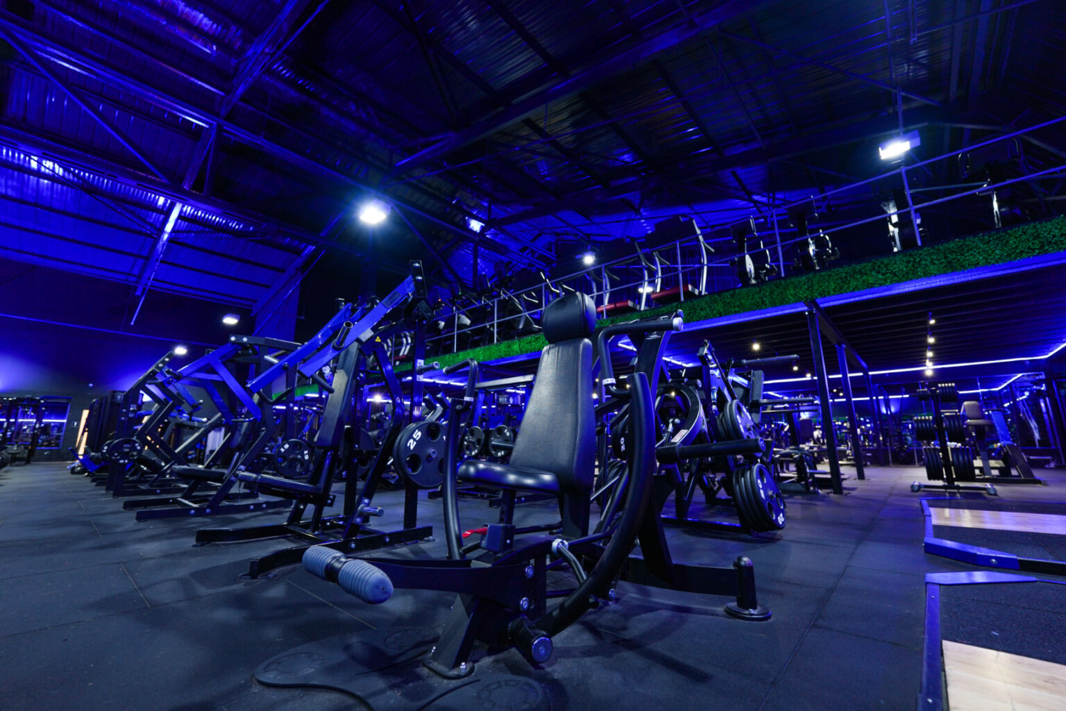 King's Gym Join Online Now!